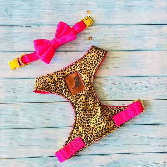 Conjunto Animal Print Dorado para perros y gatos Arnes+Collar con Corbatin
