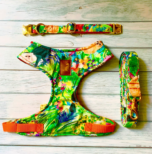 Conjunto Tropical Green para perros y gatos Arnes+Collar+Correa