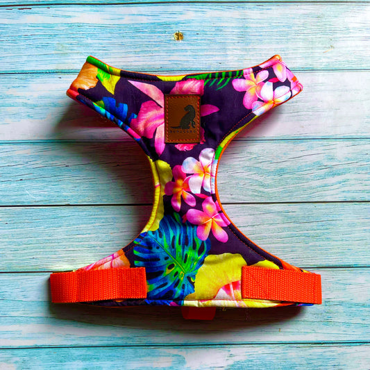 Pechera Hawaiian Black arnes para perros y gatos