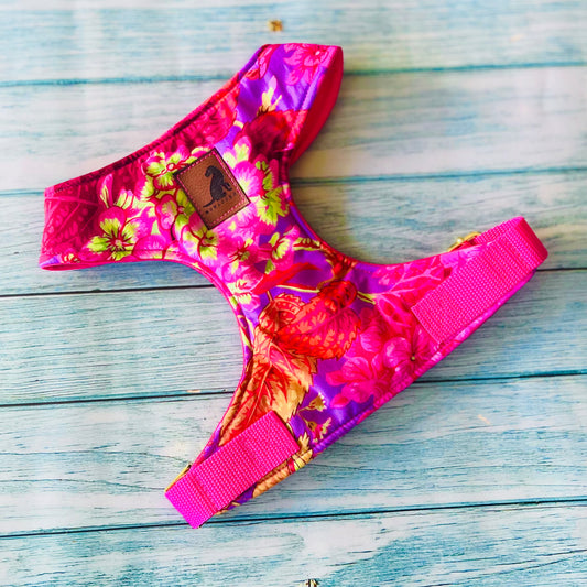 Pechera Super Flower arnes para perros y gatos