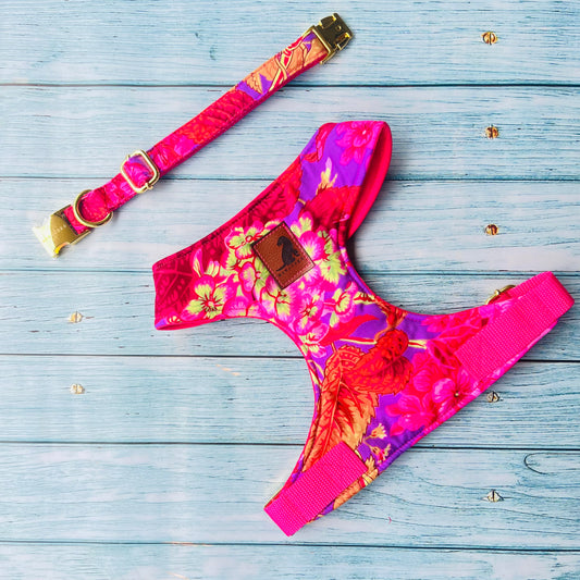 Conjunto Super Flower para perros y gatos Arnes+Collar