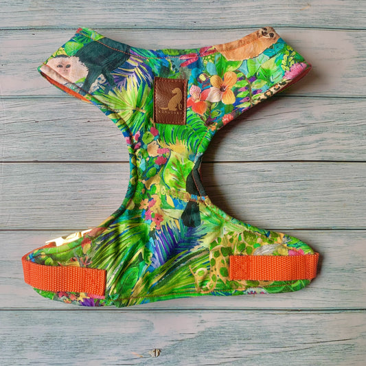 Pechera Tropical Green arnes para perros y gatos