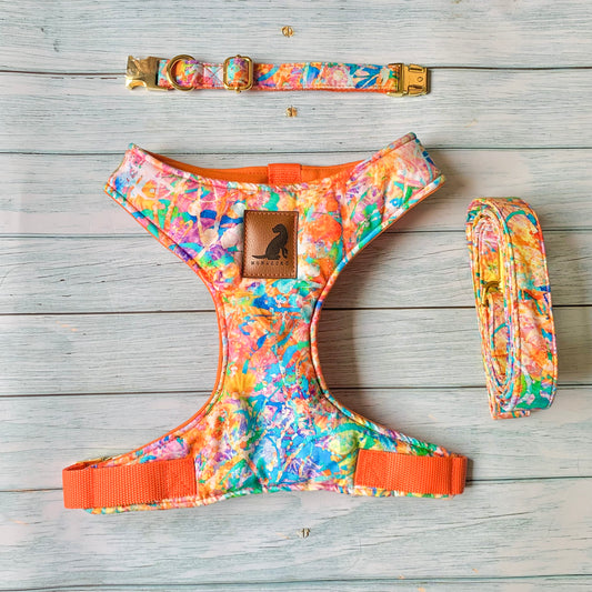 Conjunto Print Amarillo para perros y gatos Arnes+Collar+Correa