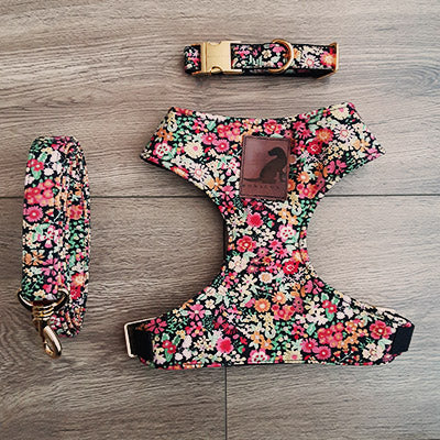 Conjunto Night Flower para perros y gatos Arnes+Collar+Correa