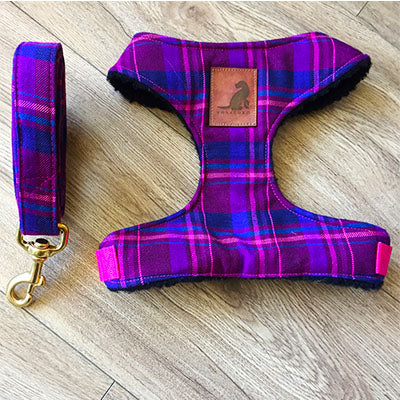 Conjunto Wool Purplue Pink para perros y gatos Arnes+Correa