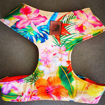 Pechera Hawaian arnes para perros y gatos