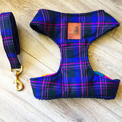 Conjunto Wool Purplue Black para perros y gatos Arnes+Correa